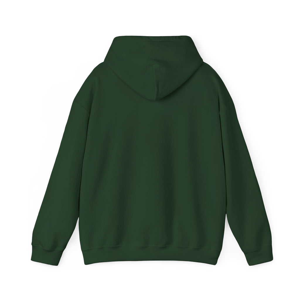 Jesus My All in All Christian Sweatshirt - Unisex Heavy Blend™ Hooded Sweatshirt